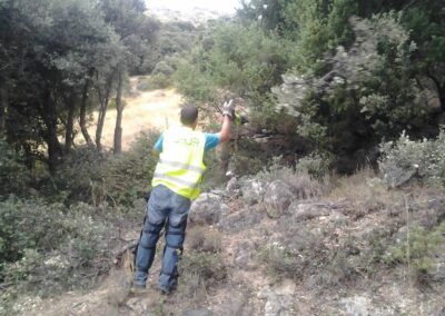 Pistas Forestales desbroces en la Sierra de Gredos